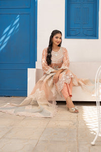 Morni- Stitched - 146