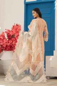 Morni- Stitched - 146