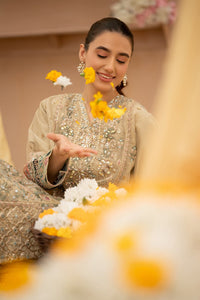 Tehaani-Stitched 150